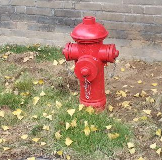 天馨·中央公园消火栓